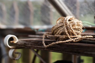 Close-up of tangled ropes on wood