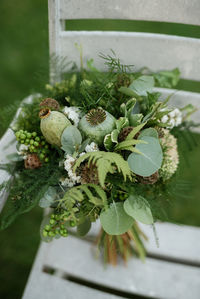 Close-up of potted plant