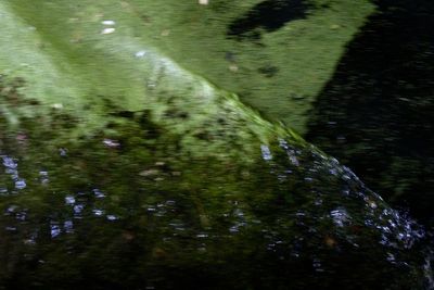 Full frame shot of water surface