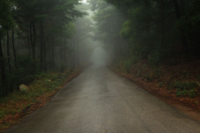 Road amidst trees in forest