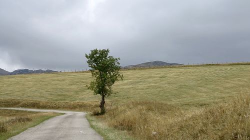 Road amidst field against sky