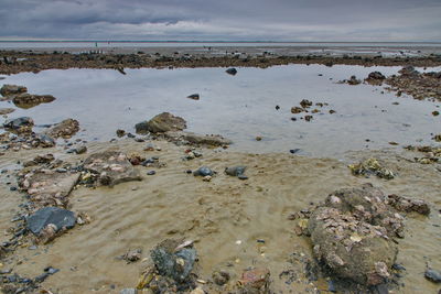 Scenic view of beach