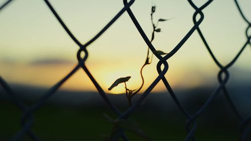 Close-up of silhouette chainlink fence against sky during sunset