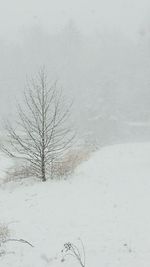 Scenic view of snow covered landscape