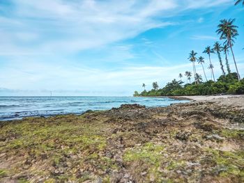 Scenic view of beach against sky