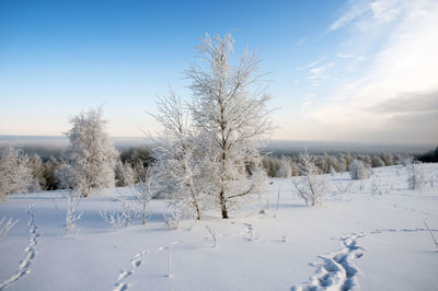 Beautiful and sunny morning in the winter mountains