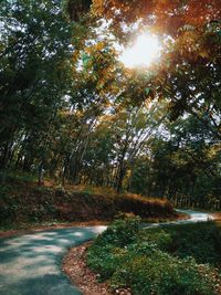 Road amidst trees in forest