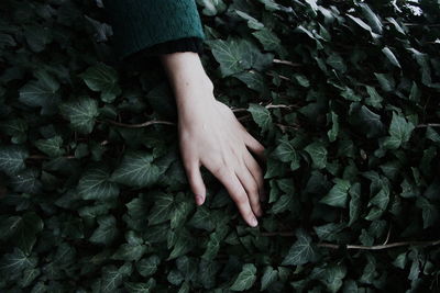 Cropped image of woman touching plants growing outdoors