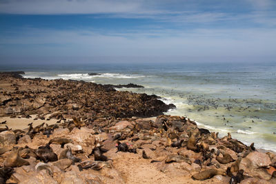 Rocks on beach against sky