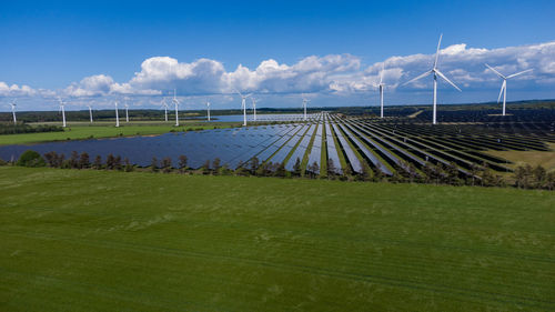 Northern europas largest solar park near holstebro in denmark