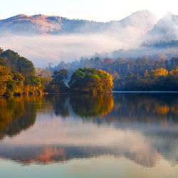 Scenic view of lake by trees against sky