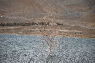 Scenic view of lake