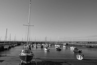 Sailboats moored in harbor against clear sky