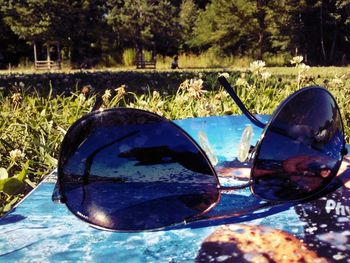 Reflection of trees in water