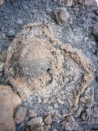 Full frame shot of textured surface