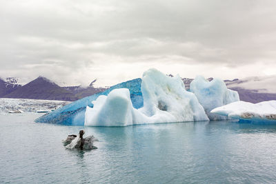 Scenic view of frozen lake against sky