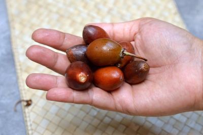 Close-up of hand holding chestnuts
