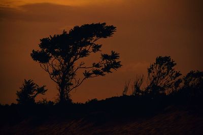 Silhouette tree against sunset sky