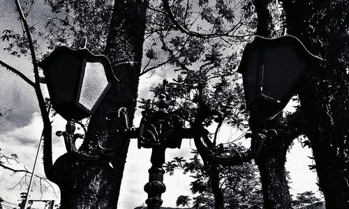 Low angle view of bare trees against sky