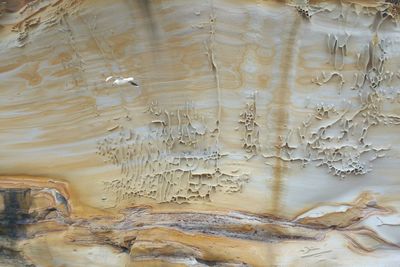 Full frame shot of patterned rock formation