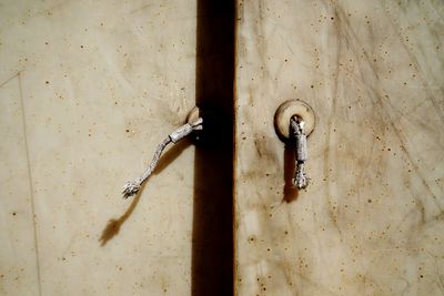 Close-up of old rusty metal door