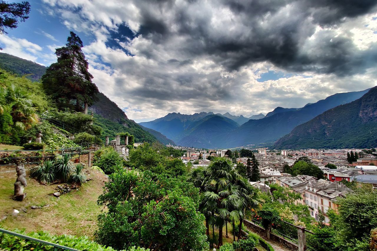 VIEW OF TREES AND PLANTS AGAINST CLOUDY SKY