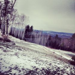 Scenic view of snow covered landscape