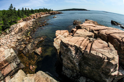 Acadia rocky coast in maine near thunder hole in summer