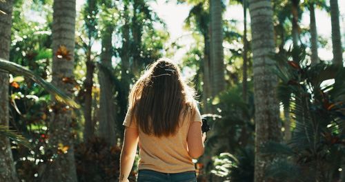 Rear view of woman standing in forest