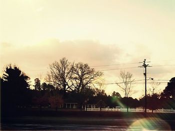 Low angle view of bare tree against sky