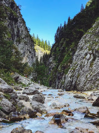 Plants and rocks in stream against mountains under clear sky