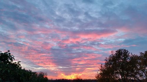 Low angle view of silhouette trees against romantic sky