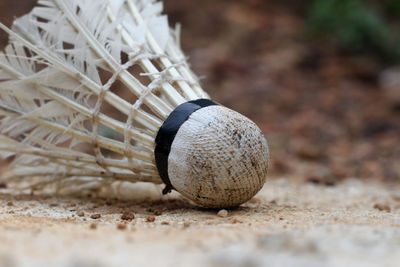 Close-up of a ball on a field