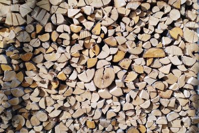 Full frame shot of logs in forest