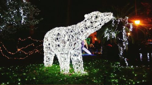 Illuminated christmas tree at night