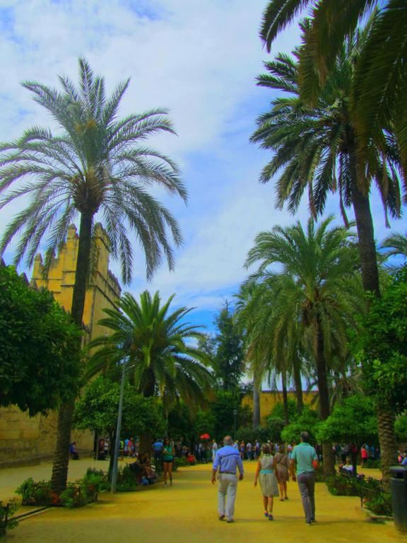 PALM TREES AGAINST SKY