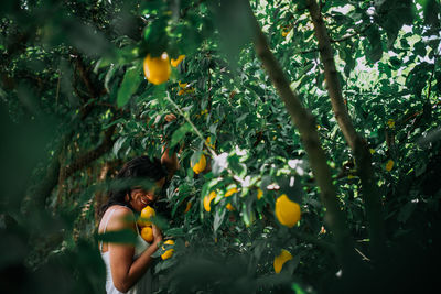 Midsection of woman with orange fruits on tree