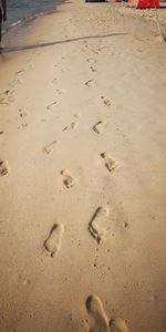 High angle view of footprints on sand at beach