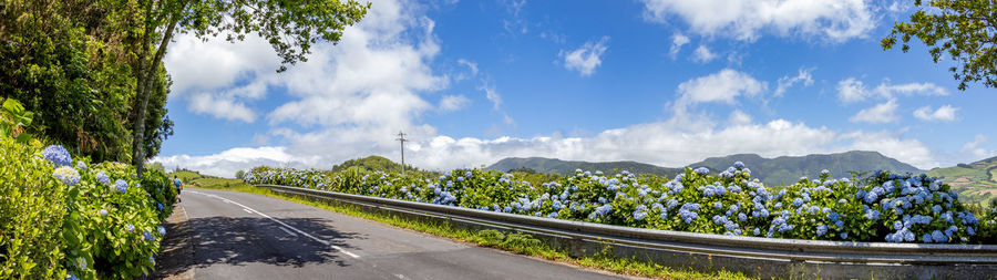 Panorama view over landscape and street, at sao miguel island, azores travel destination.