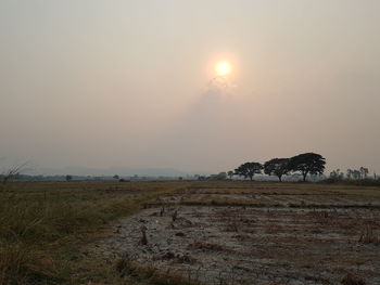 Scenic view of field against sky during sunset