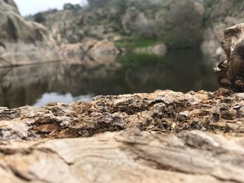 Close-up of rocks in water