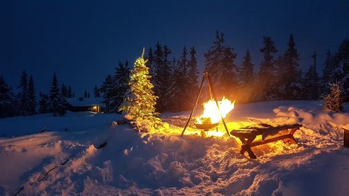 Trees on snow covered field against sky at night