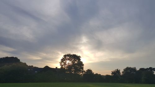 Trees on field against sky