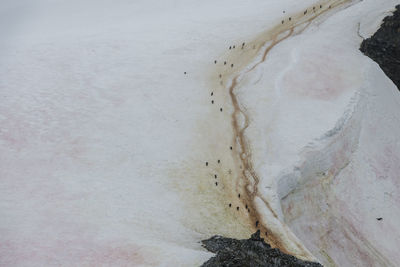 High angle view of surf on beach