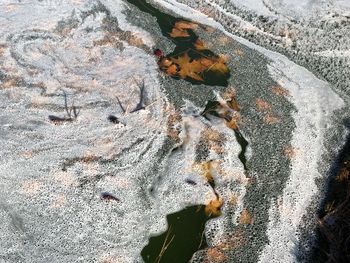 Close-up of frozen lake