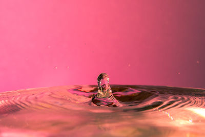 Close-up of water splashing