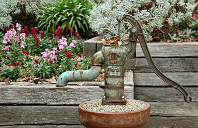 Potted plants in garden