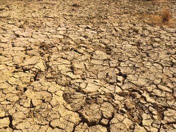 Full frame shot of cracked land