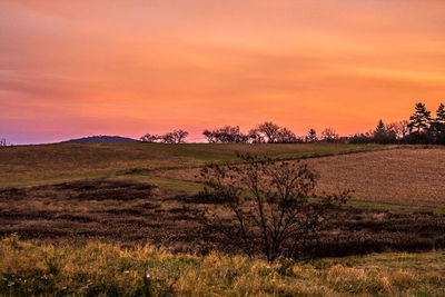 Scenic view of landscape at sunset