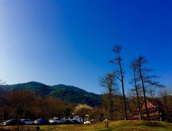 Trees and mountains against clear blue sky